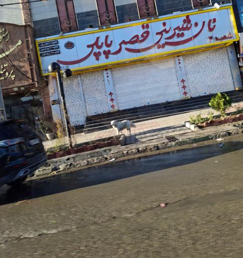 عکس شیرینی قصر پاپلی شعبه دماوند
