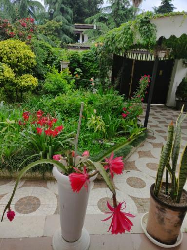 عکس دوخوابه رضا شفیعی