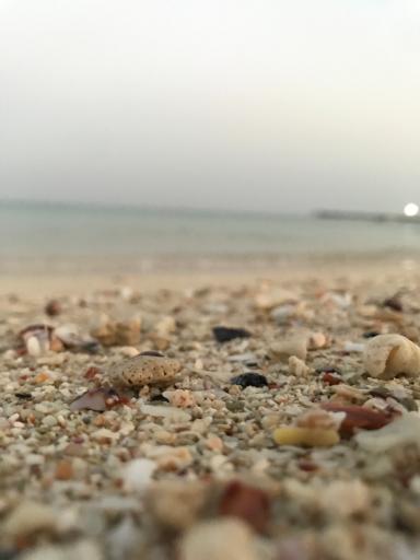 عکس سواحل نقره فام کیش