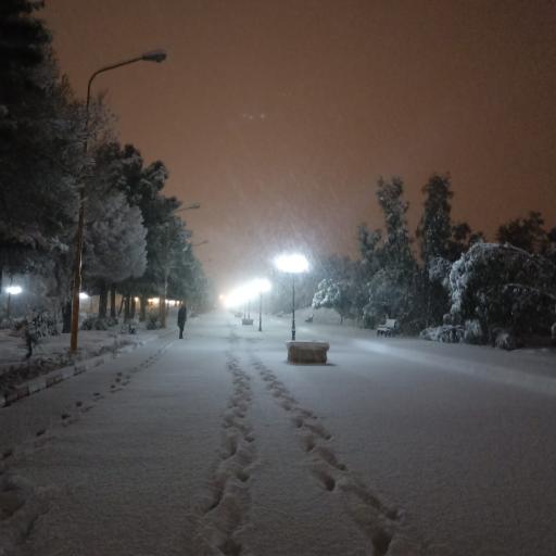 عکس پارک ارم