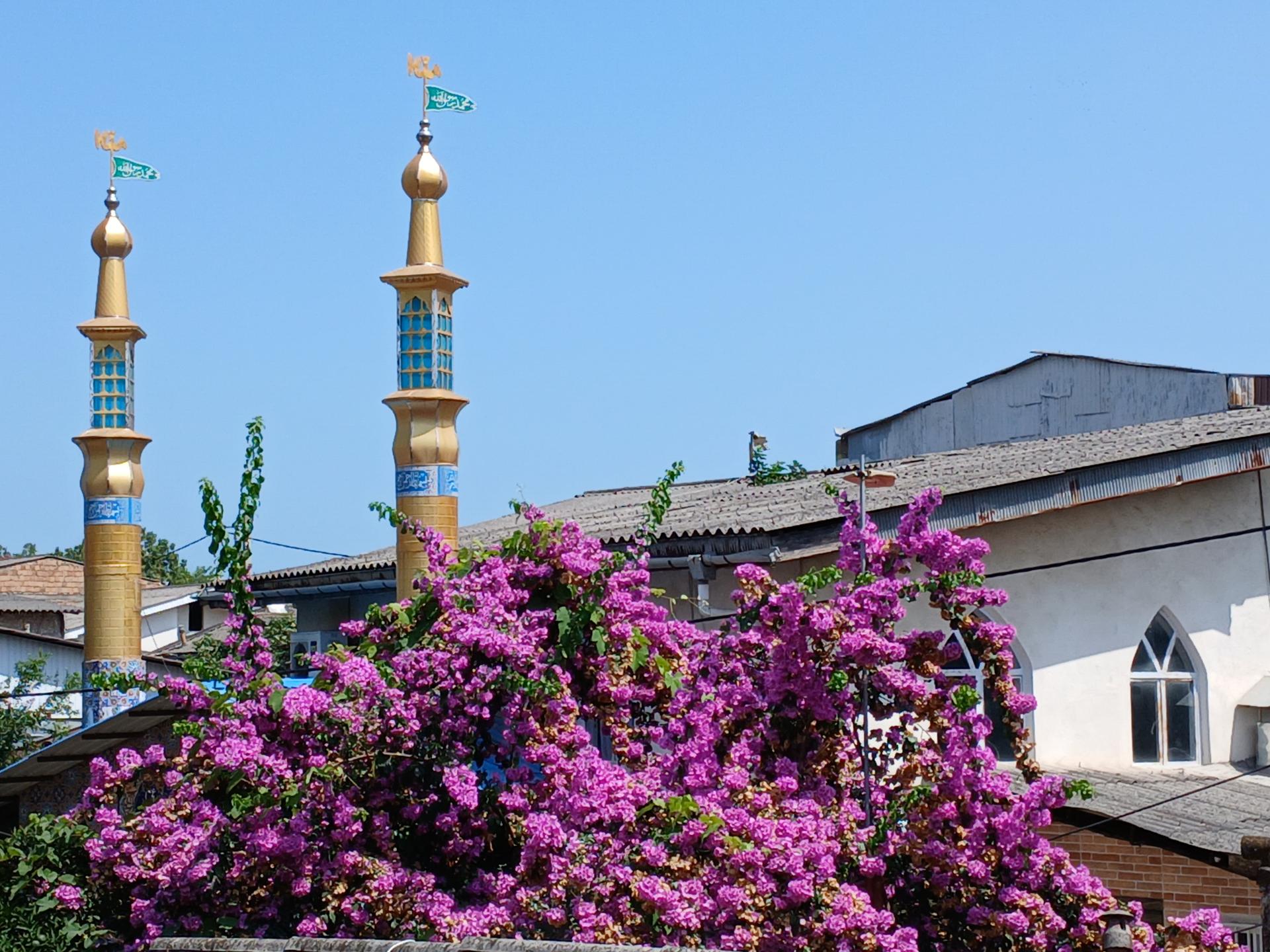 عکس مسجد صاحب الزمان (عج)