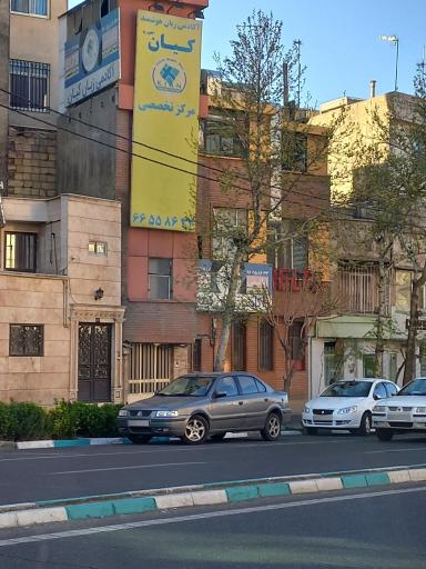 عکس آکادمی زبان کیان