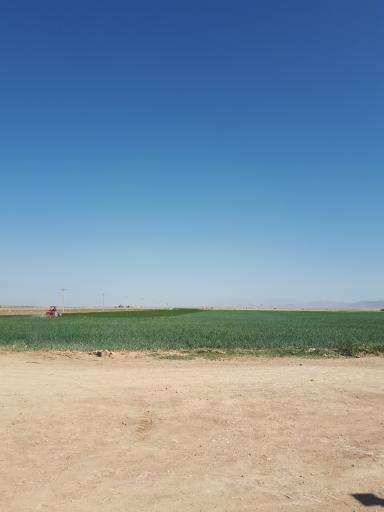 عکس شرکت کلوان