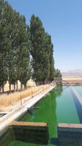 شرکت کلوان