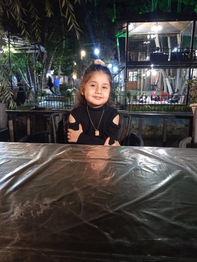 باغ رستوران سنتی شاندیز داریوش