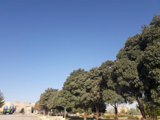 عکس پارک رضوان