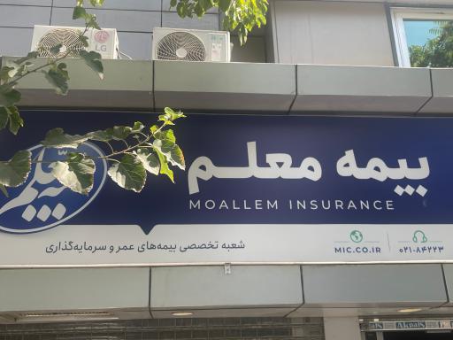 عکس شعبه تخصصی بیمه های زندگی - بیمه معلم