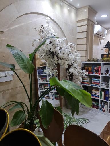 عکس نستکافه