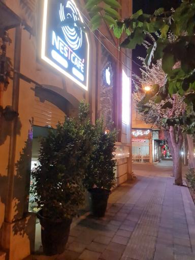 عکس نستکافه