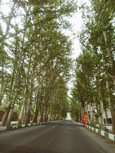 عکس زرنان