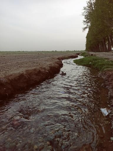 عکس زرنان