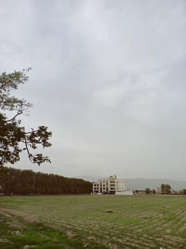عکس زرنان