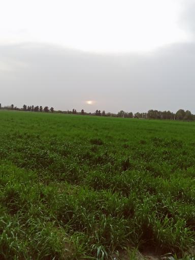عکس زرنان