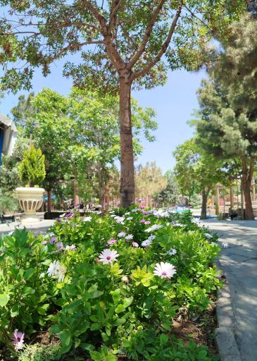 عکس پارک قائم مقام