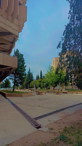 عکس دانشگاه شیراز