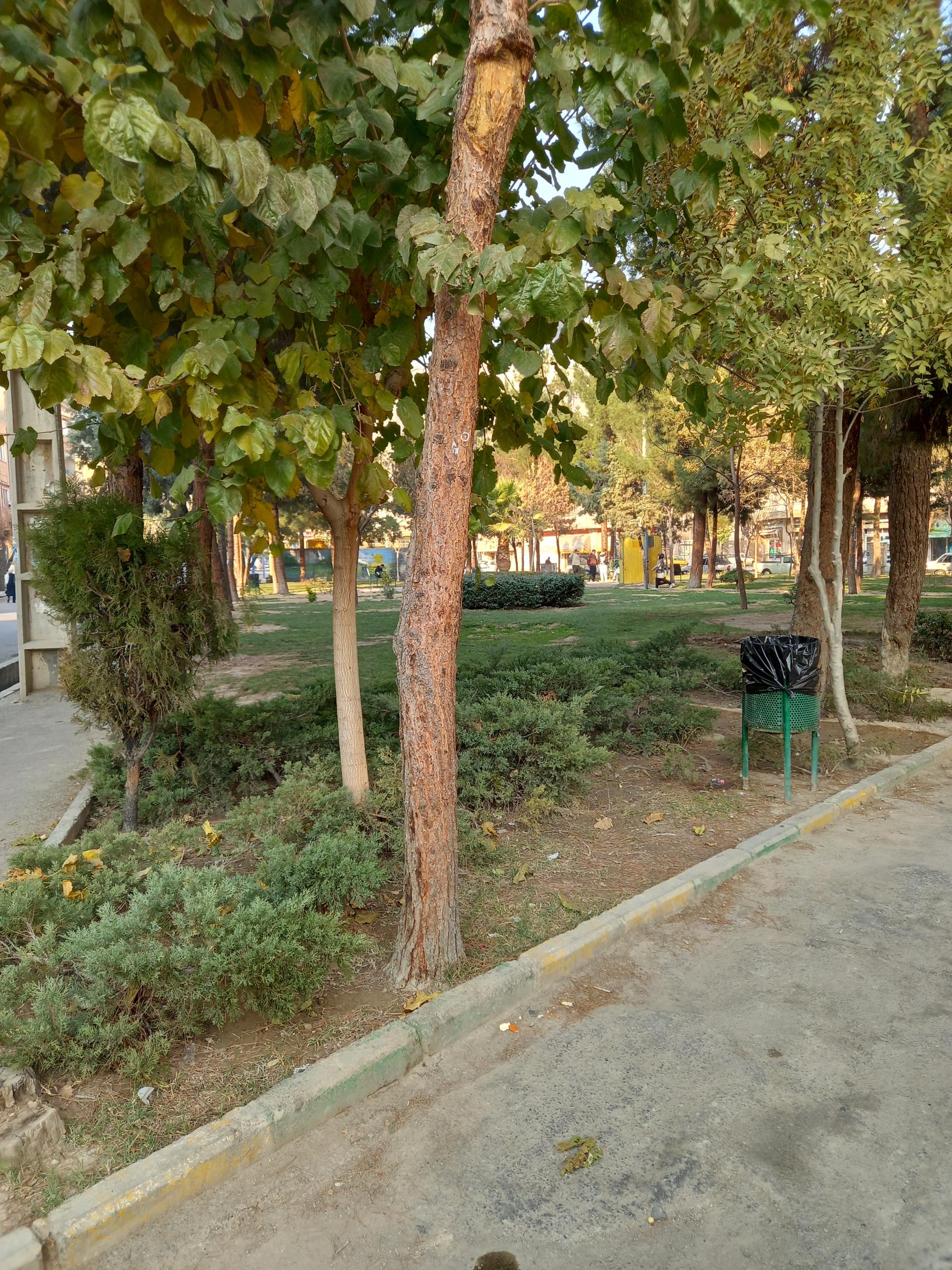 عکس بوستان یاس