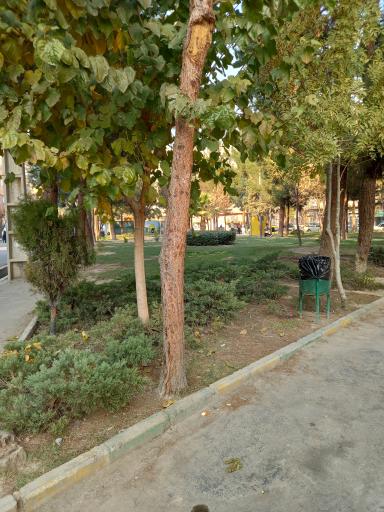 عکس بوستان یاس