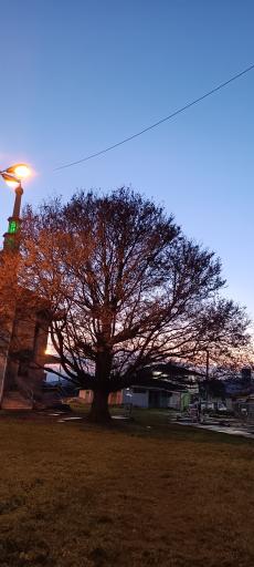 عکس مسجد جامع سیگارود