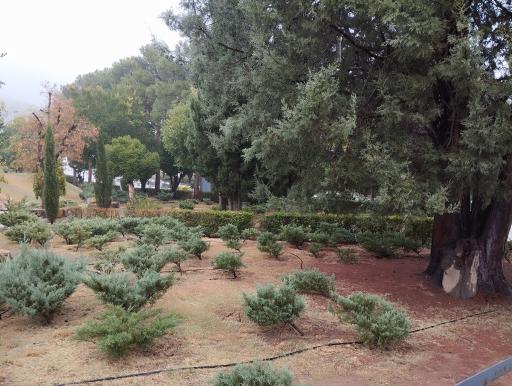 عکس دانشگاه شیراز