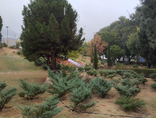 عکس دانشگاه شیراز