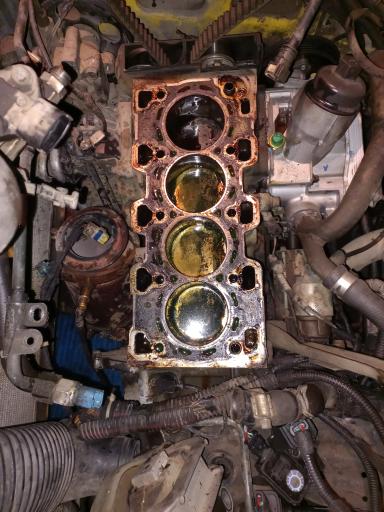 عکس مکانیکی مجید صالحی