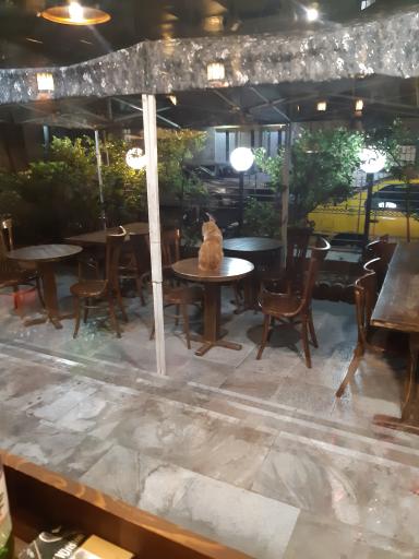 عکس کافه گیو