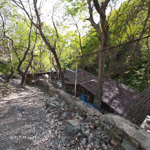عکس درکه