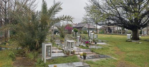 عکس مسجد جامع سیگارود