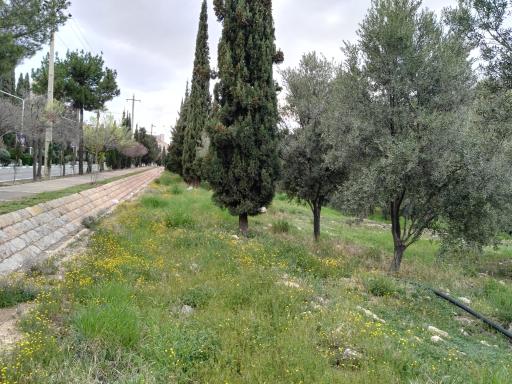 عکس دانشگاه شیراز