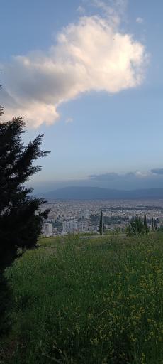 عکس دانشگاه شیراز