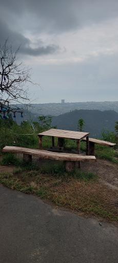 عکس دیسر