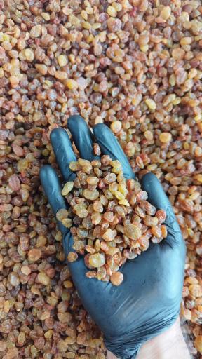 عکس آجیل و خشکبار علی