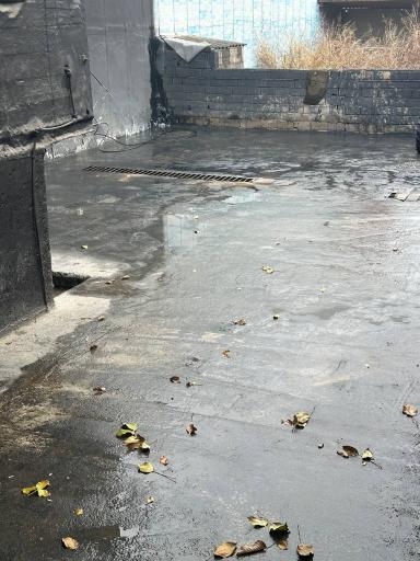 عکس کافه کارواش ماموت 