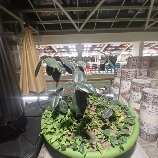 عکس شرکت صنایع فرش و موکت بابل