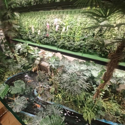 عکس شرکت صنایع فرش و موکت بابل