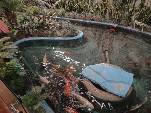 عکس شرکت صنایع فرش و موکت بابل