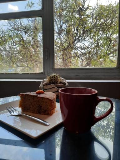 عکس کافه روبیک