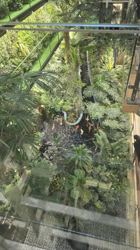 عکس شرکت صنایع فرش و موکت بابل