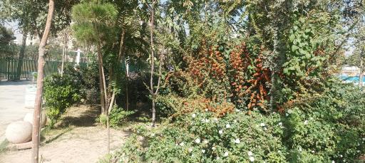 عکس بوستان وصال