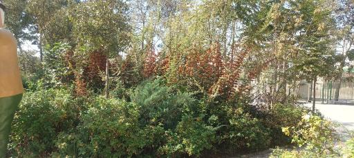 عکس بوستان وصال