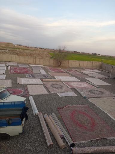 عکس قالی شویی بزرگ ارم سبزوار
