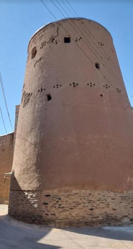 عکس سامن