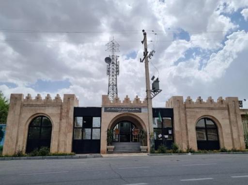 عکس سامن