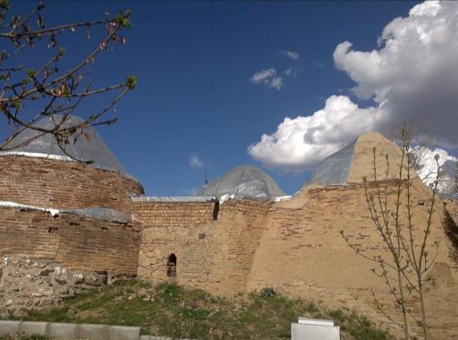 عکس سامن