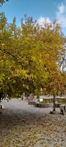 عکس پارک موسیقی سپیدار