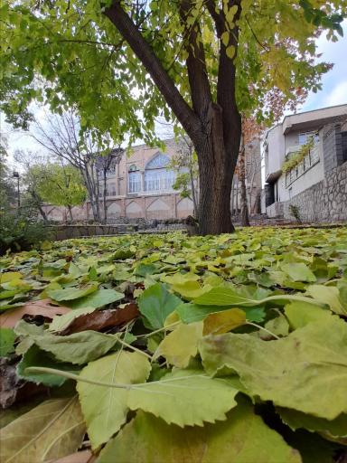 عکس پارک موسیقی سپیدار