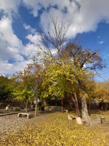 عکس پارک موسیقی سپیدار