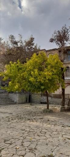 عکس پارک موسیقی سپیدار