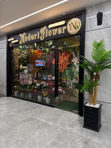 عکس دفترمرکزی پخش گل نادری