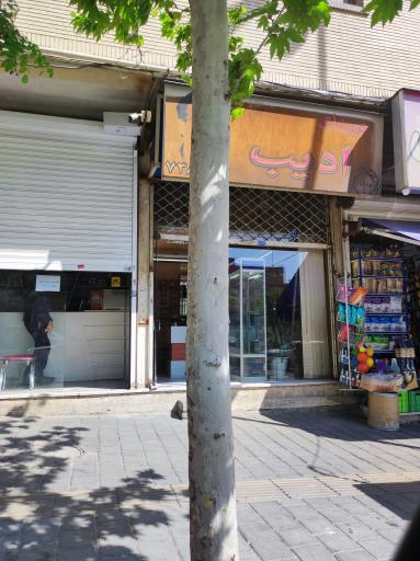 عکس عینک ادیب